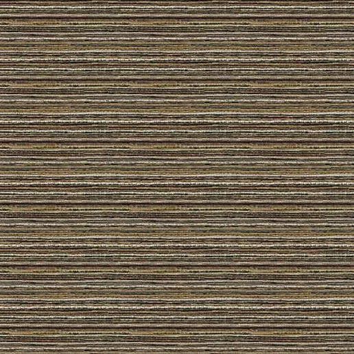 Bronze Stripe Roman
